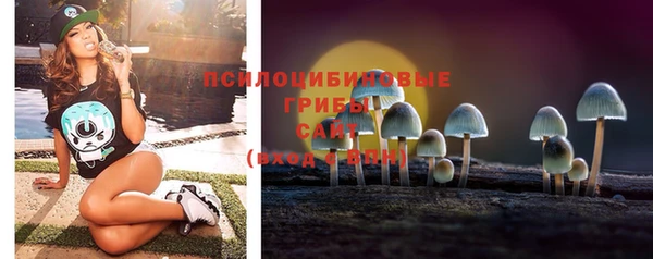СК Беломорск