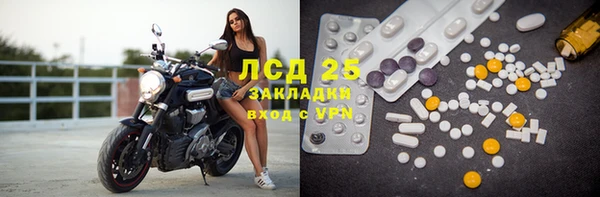 крисы Баксан