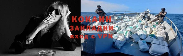 крисы Баксан