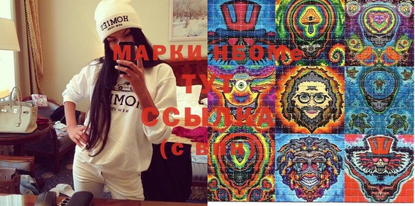 крисы Баксан