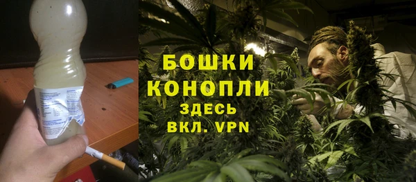 крисы Баксан