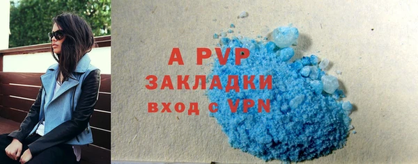 крисы Баксан