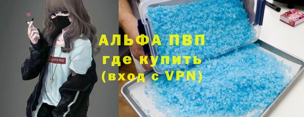 крисы Баксан