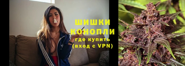 крисы Баксан