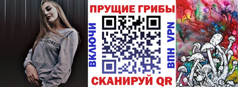 Псилоцибиновые грибы Psilocybe  купить   Новый Уренгой 